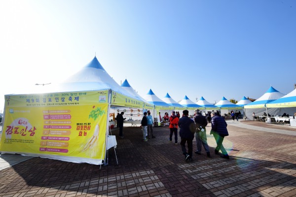 제9회 김포인삼축제 이미지